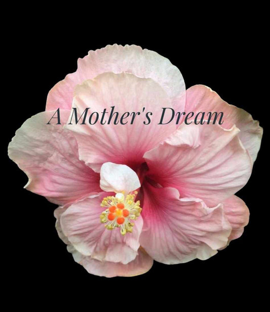 Cajun Hibiscus "A Mother's Dream"